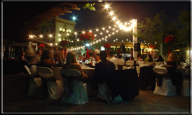 Wedding Lights